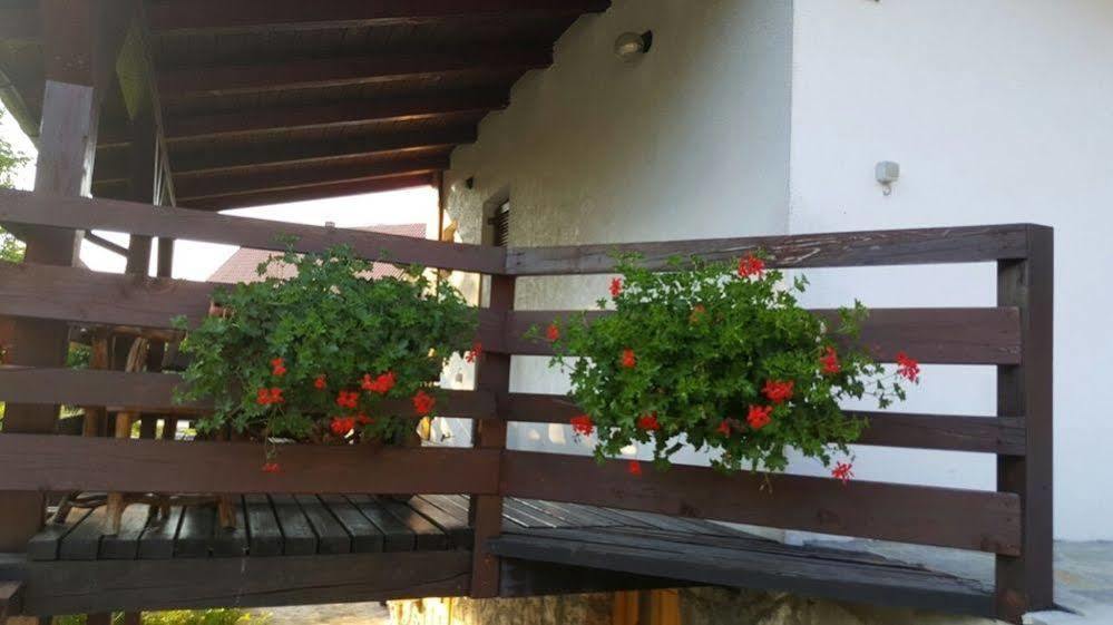 Guest House Plitvice Waterfall Plitvička Jezera Zewnętrze zdjęcie